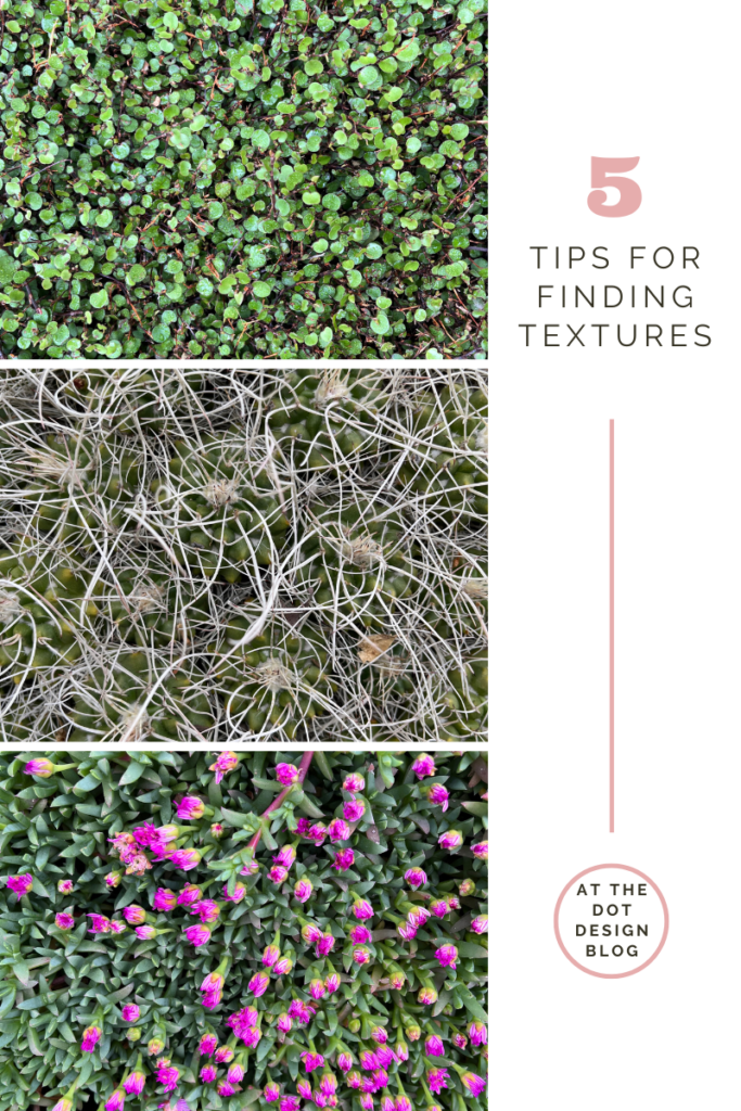 Textures from plants found in nature to be used in surface pattern design